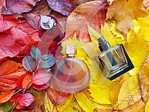 Three perfume spray bottles on bright autumn leaves. Fall flat lay, ÃÂozy atmosphere, top view