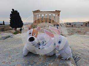 Three pets see a world first to Athen