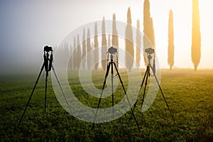 Three photo tripods with cameras, standing in the meadow photo