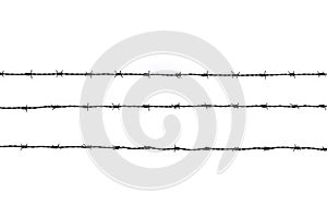 Three pieces of barbed wire