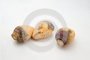 Three pieces of rutabaga isolated on a white background