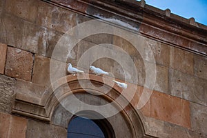 Three Pigeons are sitting on the armhole of the church