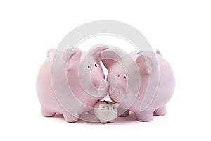 Three piggy banks on white background