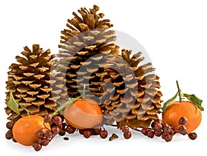 Three Pine Cones With Berries, Pinole and Oranges