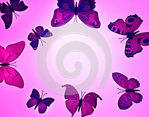 Three pink butterfly, isolated on white background