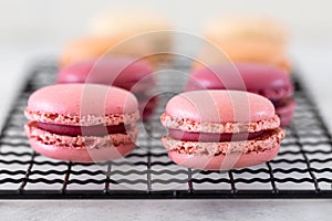 Three pink macarons stapled white background isolated