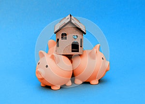 Three pink piggy banks with the house on their back isolated against white background