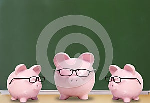 Three pink pigs with glasses