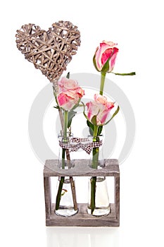 Three pink roses in glass vases