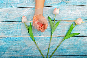 Three pink tulips and a red heart in a man s hand on a blue wooden background. Holiday is Valentine`s Day, and International Wome