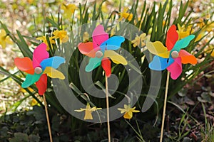 Three pinwheel toys in front of blooming daffodils