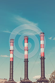 Three pipes of the plant against the background of the blue sky