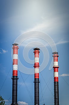 Three pipes of plant against background of blue sky/ three pipes of plant against background of blue sky