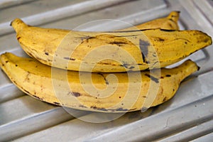 Three plantain on a metallic background photo