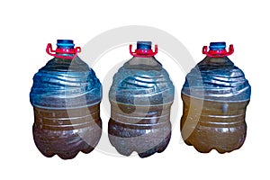 Three plastic gallons containing probiotic fermentation liquid for animal feed. white background
