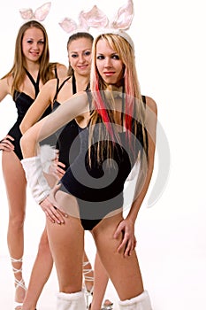 Three playgirls with bunny ears isolated