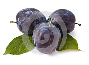 Three plums on white