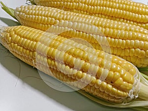 Three pods of raw sweet corn, yellow, beautiful, appetizing, healthful, placed on a white background.