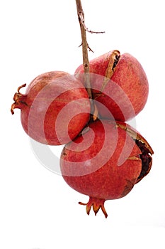 Three Pomegranate on White Background