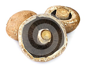 Three portobello mushrooms an isolated on white background