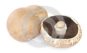 Three portobello mushrooms, isolated on white background.
