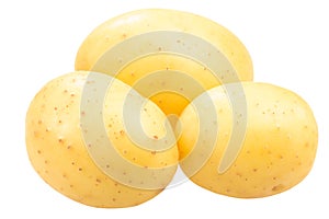 Three potatoes s. tuberosum,  paths