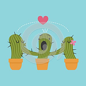 Three pots of cactus