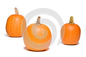 Three Pumpkins