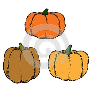 Three pumpkins