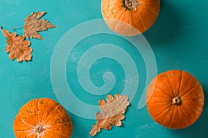 three pumpkins on a blue background copy space, autumn background