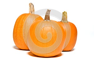 Three Pumpkins Close