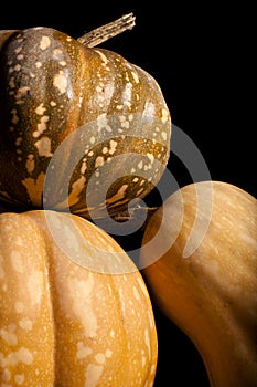 Three Pumpkins, Detail