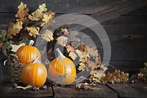 Three Pumpkins Fall Leaves