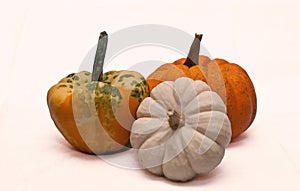 Three pumpkins in a group