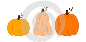 Three pumpkins icons on white background