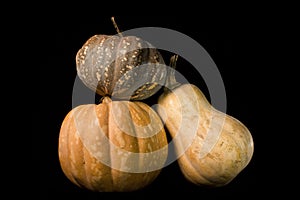 Three Pumpkins Isolated on Black