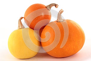 Three pumpkins isolated on a white background with a drop shadow