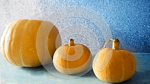 Three pumpkins lie on a beautiful blue background.