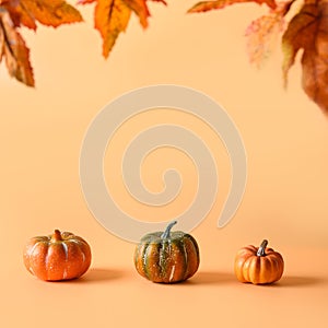 Three pumpkins for Thanksgiving day or Halloween party on orange background with copy space