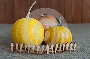 Three pumpkins of various sizes behind miniature