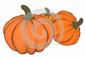 Three pumpkins