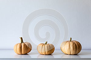 Three pumpkins on white shelf against white wall. Modern minimal autumn inspired room decoration.