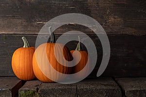 Three pumpkins on wooden background