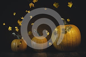 Three pumpkins on a wooden table