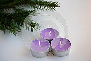 Three purple candles and green fir branches symbolize Christmas and New Year. Place for your text