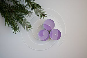 Three purple candles and green fir branches symbolize Christmas and New Year. Place for your text