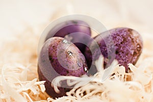 Three purple easter eggs in white nest closeup