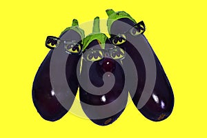 Three purple eggplants in sunglasses on a yellow background