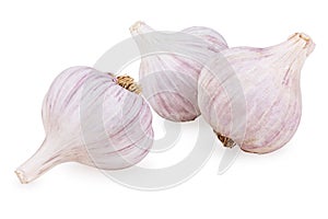 Three purple garlic