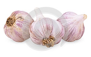 Three purple garlic